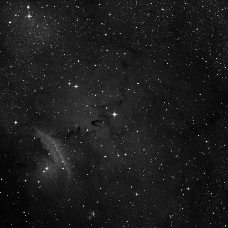 Image of IC 4685 - Nebula in Sagittarius star