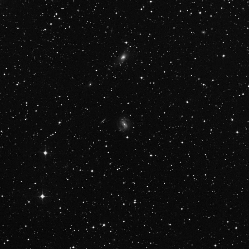 Image of IC 4933 - Barred Spiral Galaxy in Telescopium star