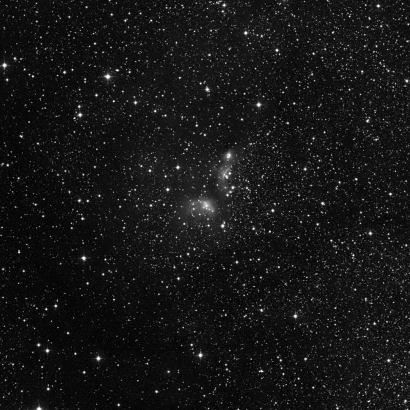 Image of IC 4955 - Nebula in Vulpecula star