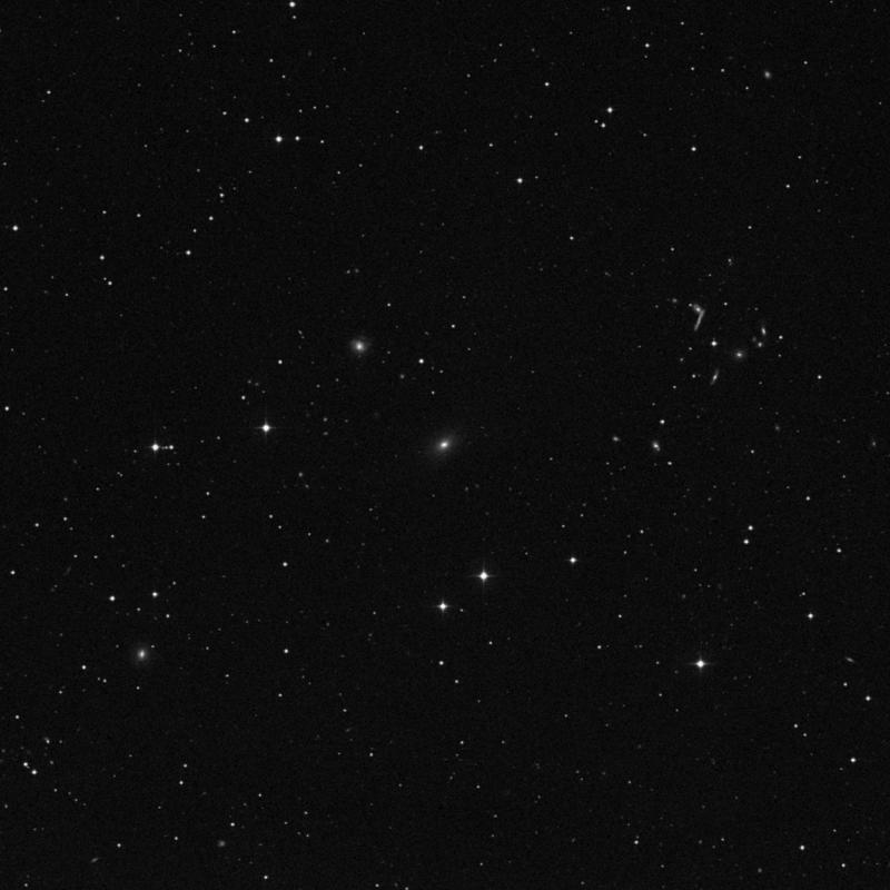 Image of IC 585 - Elliptical/Spiral Galaxy in Leo star
