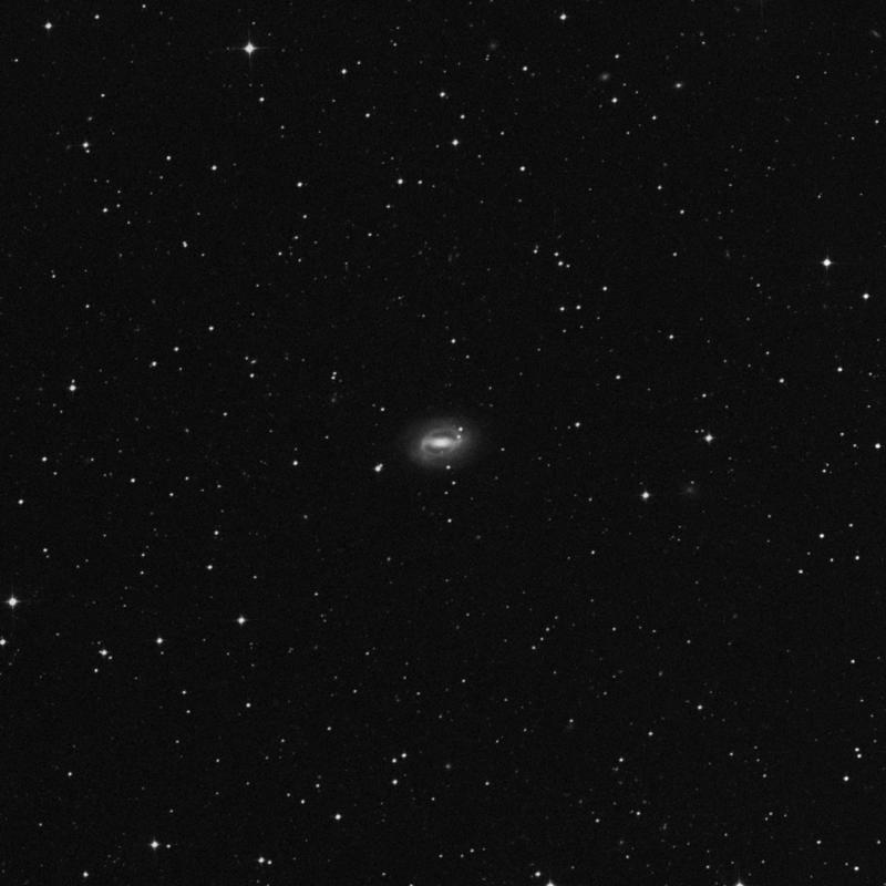 Image of IC 5240 - Barred Spiral Galaxy in Grus star