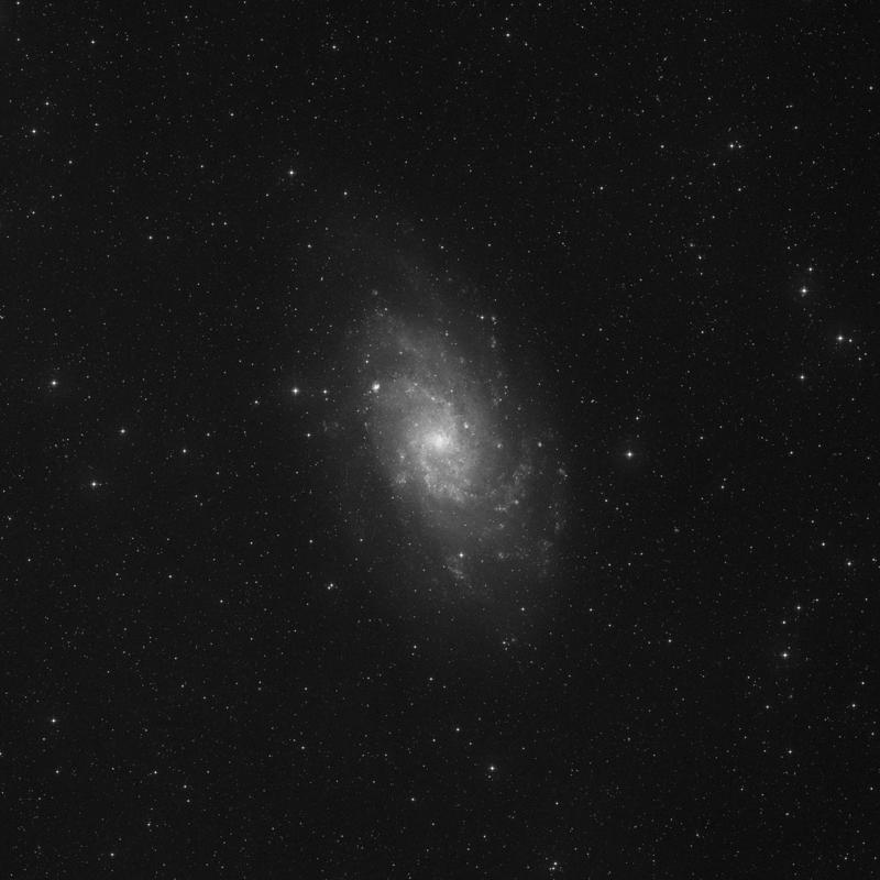Image of Messier 33 (Triangulum Galaxy) - Spiral Galaxy in Triangulum star