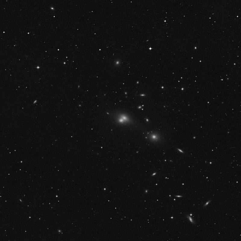 Image of NGC 547 - Elliptical Galaxy in Cetus star