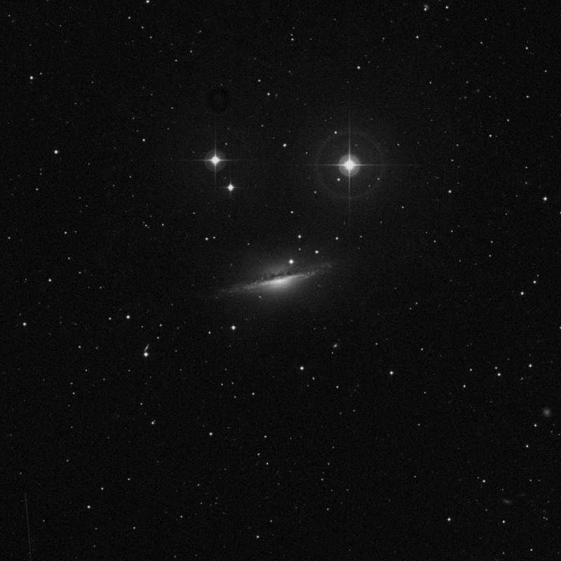 Image of NGC 1055 - Barred Spiral Galaxy in Cetus star