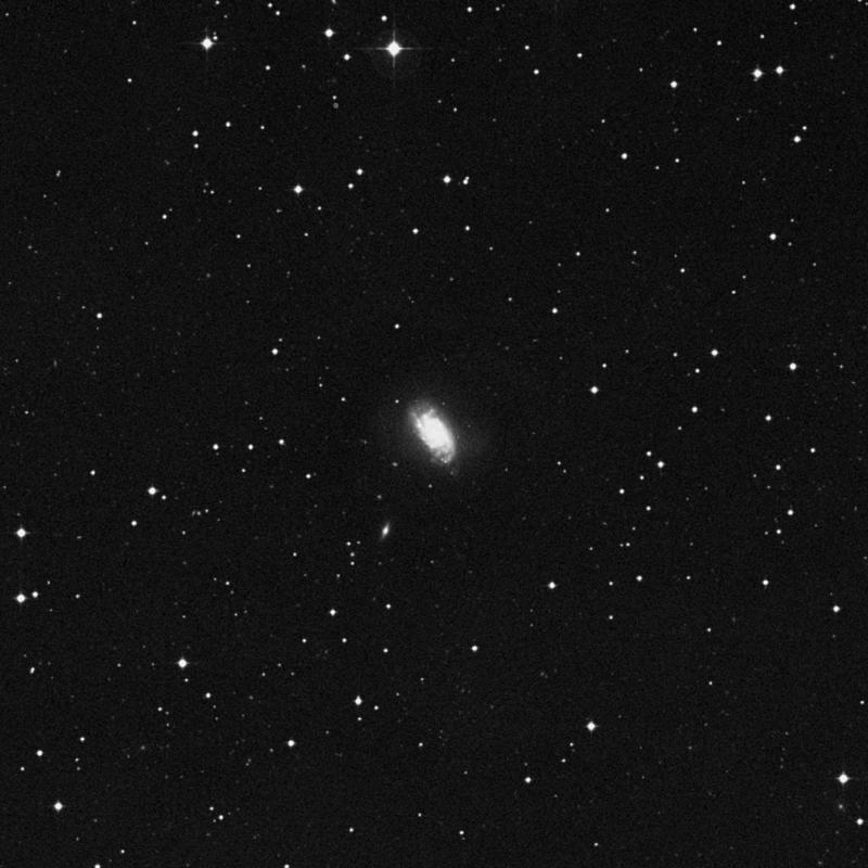 Image of NGC 1084 - Spiral Galaxy in Eridanus star