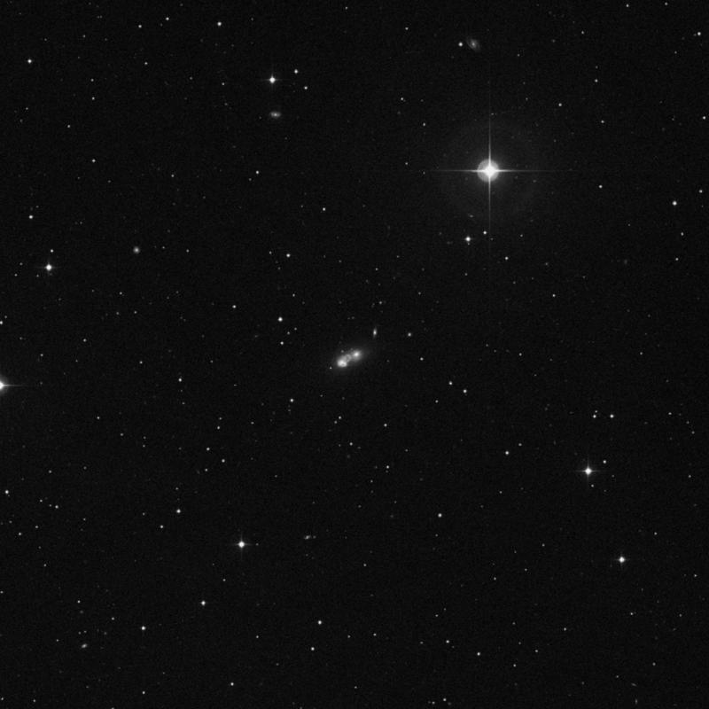 Image of NGC 1143 - Elliptical Galaxy in Cetus star