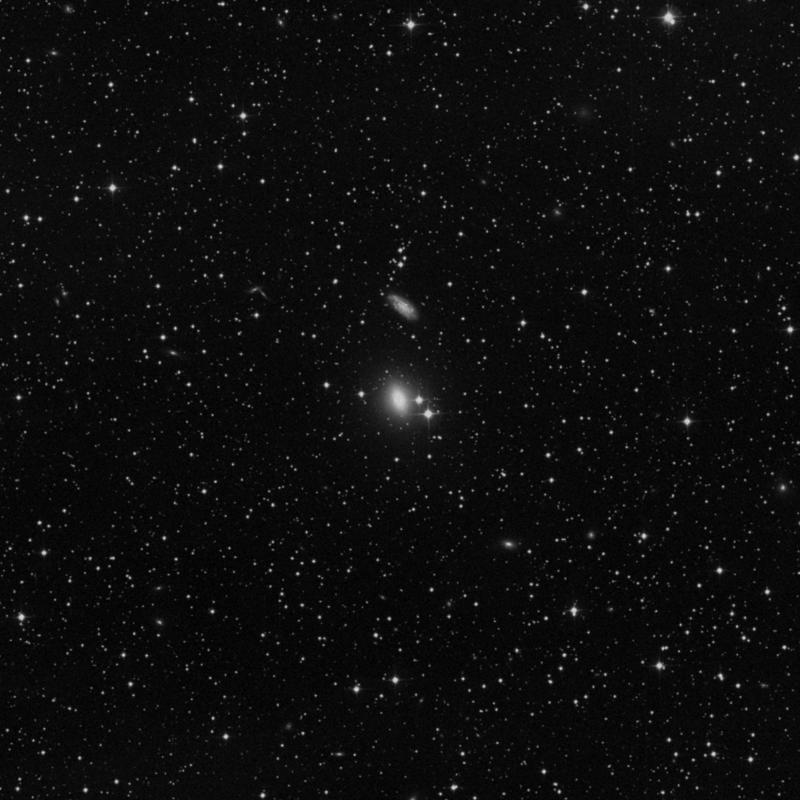Image of NGC 1161 - Lenticular Galaxy in Perseus star