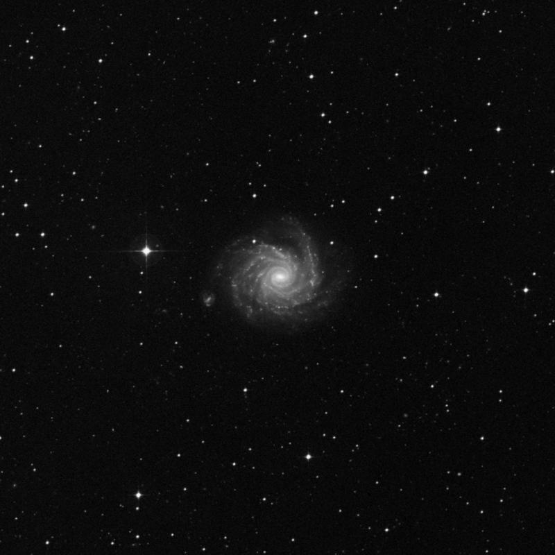 Image of NGC 1232 - Intermediate Spiral Galaxy in Eridanus star