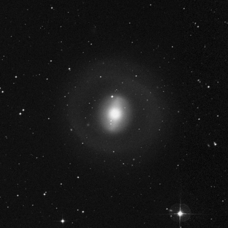 Image of NGC 1269 - Lenticular Galaxy in Eridanus star
