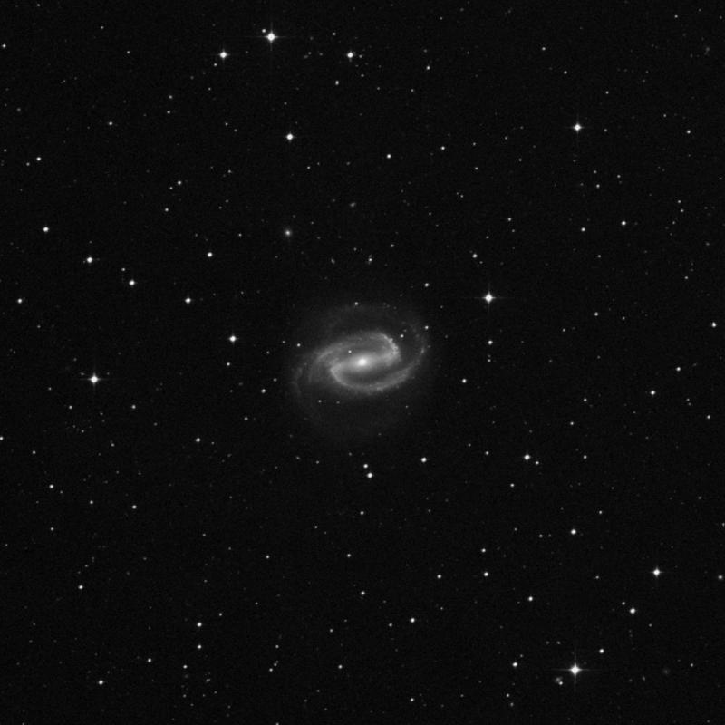 Image of NGC 1300 - Spiral Galaxy in Eridanus star
