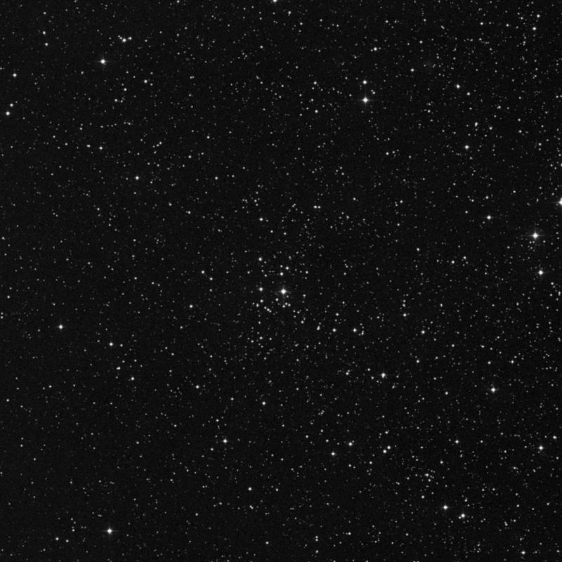 Image of NGC 1348 - Open Cluster in Perseus star