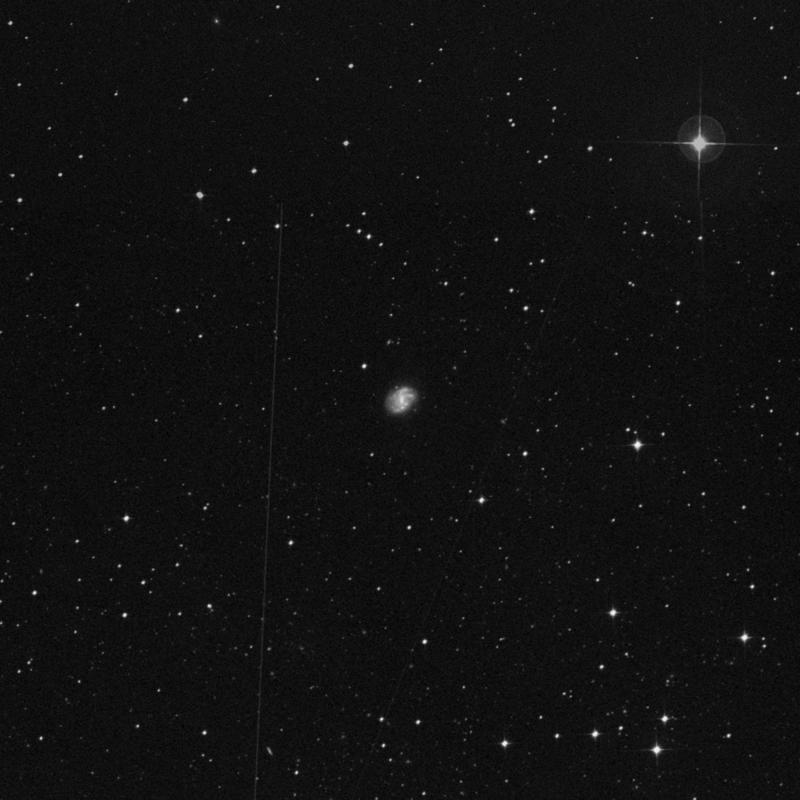 Image of NGC 1483 - Barred Spiral Galaxy in Horologium star