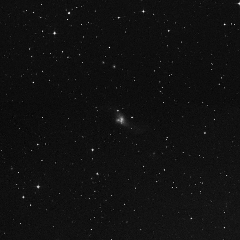 Image of NGC 1487 - Galaxy Pair in Horologium star