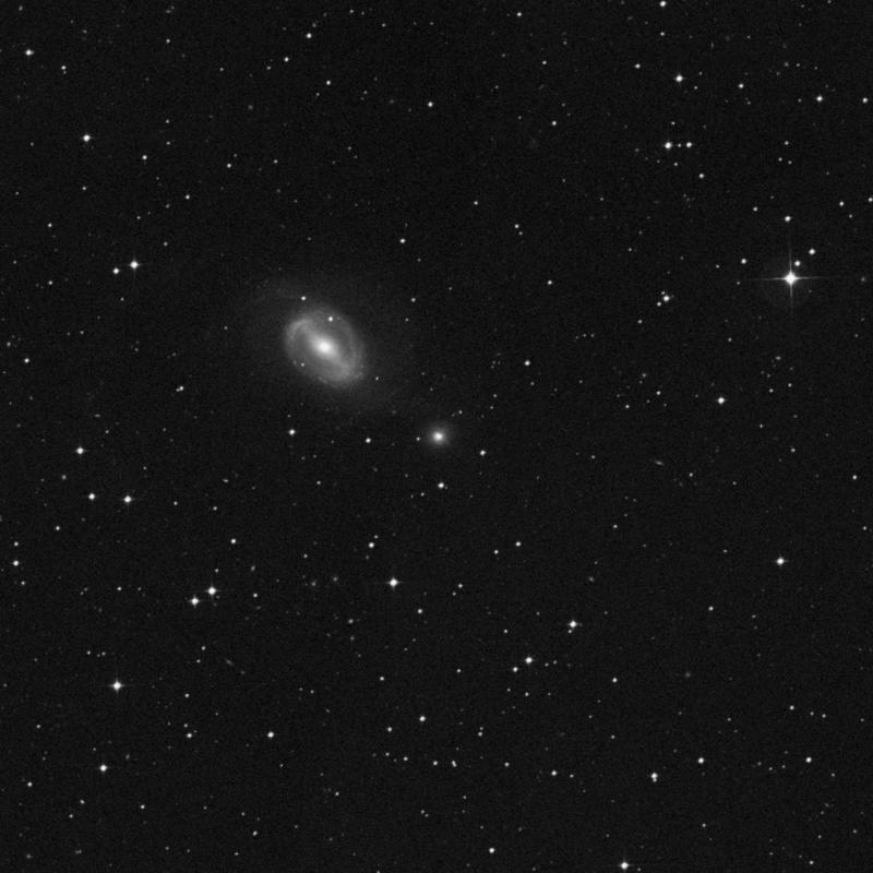 Image of NGC 1510 - Lenticular Galaxy in Horologium star