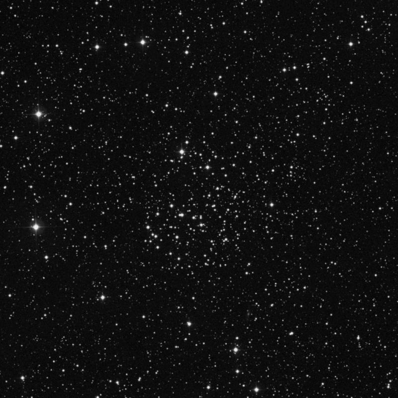Image of NGC 1513 - Open Cluster in Perseus star