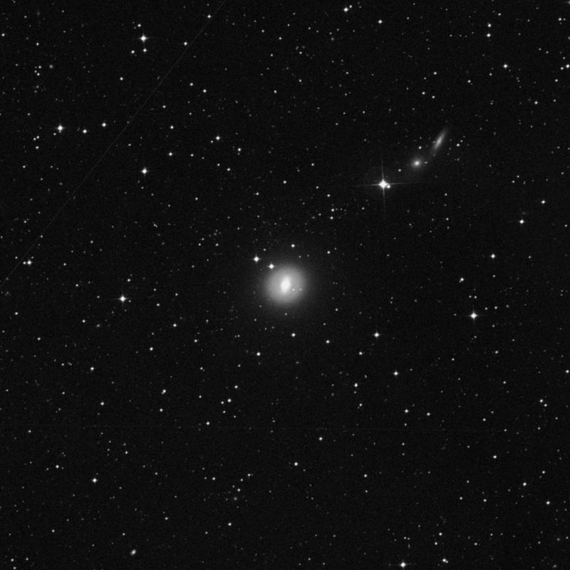 Image of NGC 1533 - Elliptical/Spiral Galaxy in Dorado star