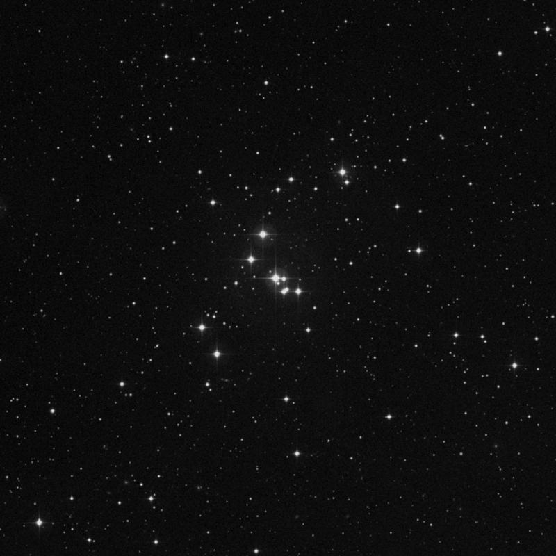 Image of NGC 1662 - Open Cluster in Orion star