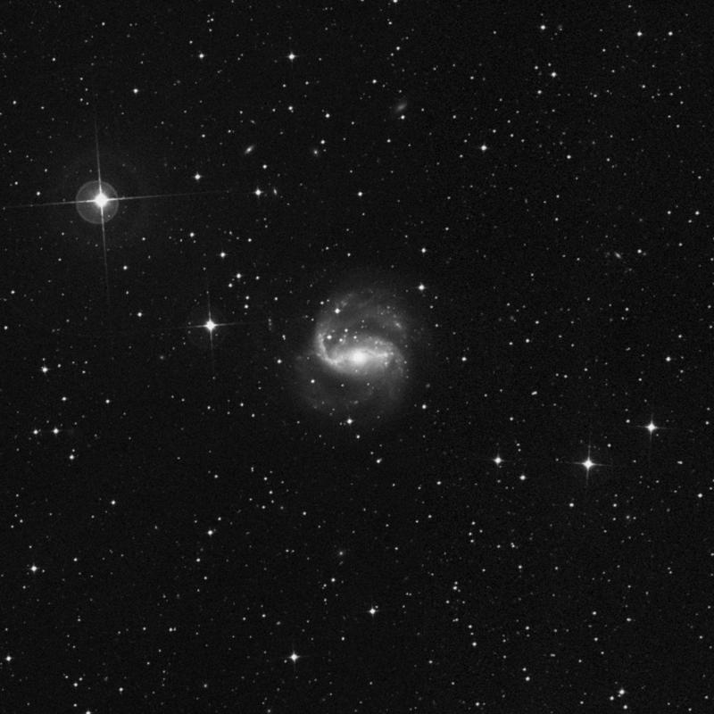 Image of NGC 1672 - Spiral Galaxy in Dorado star