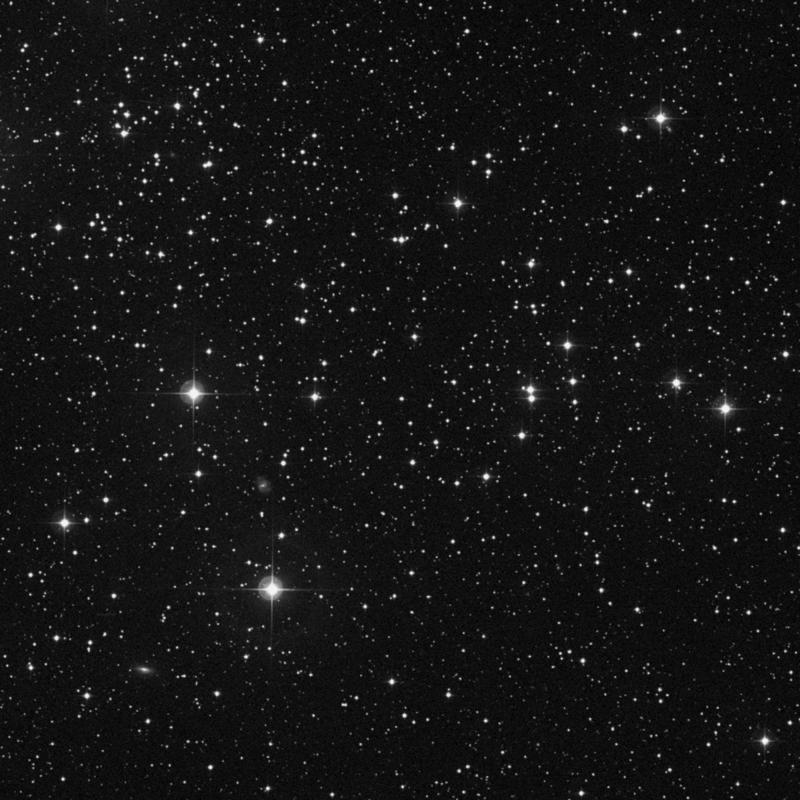 Image of NGC 1750 - Open Cluster in Taurus star