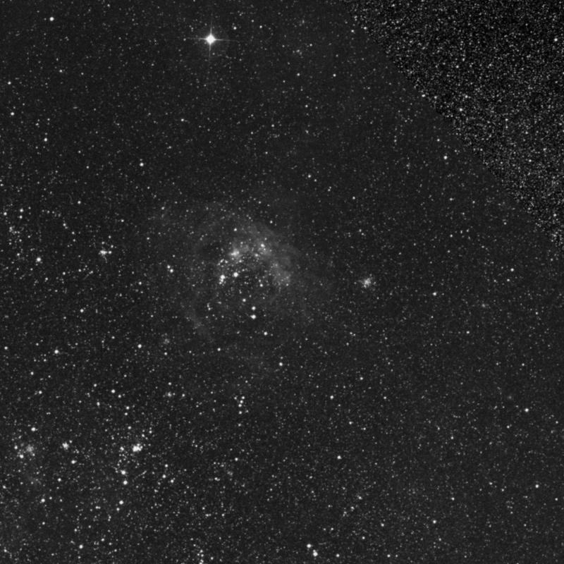 Image of NGC 1962 - Open Cluster in Dorado star