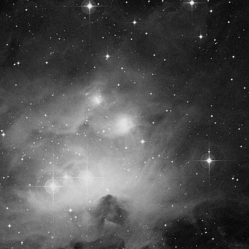 Image of NGC 1973 - Nebula in Orion star