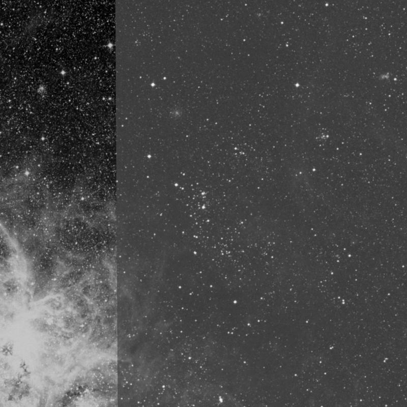 Image of NGC 2042 - Open Cluster in Dorado star