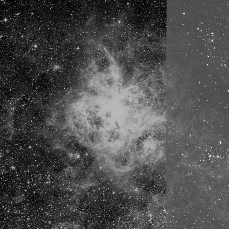 Image of NGC 2070 (Tarantula Nebula) - HII Ionized region in Dorado star