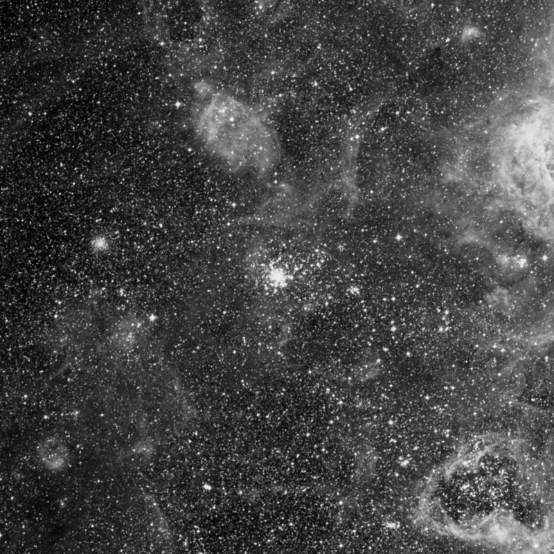 Image of NGC 2100 - Globular Cluster in Dorado star