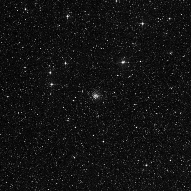 Image of NGC 2155 - Globular Cluster in Dorado star