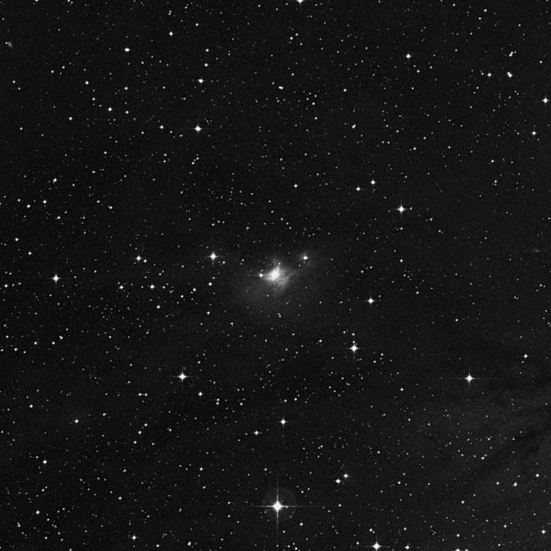 Image of NGC 2182 - Reflection Nebula in Monoceros star