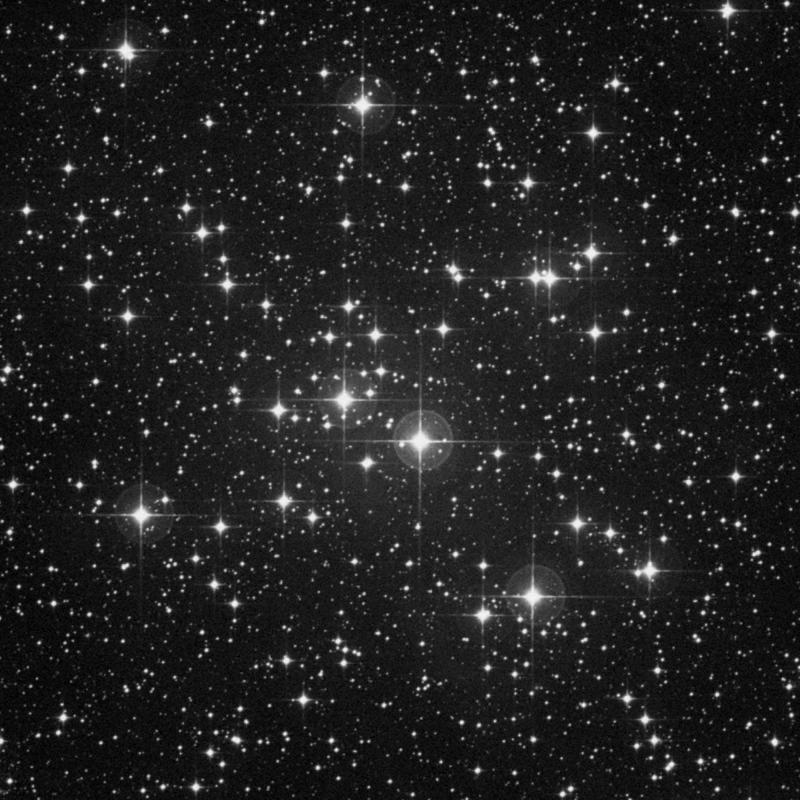 Image of Messier 41 - Open Cluster in Canis Major star