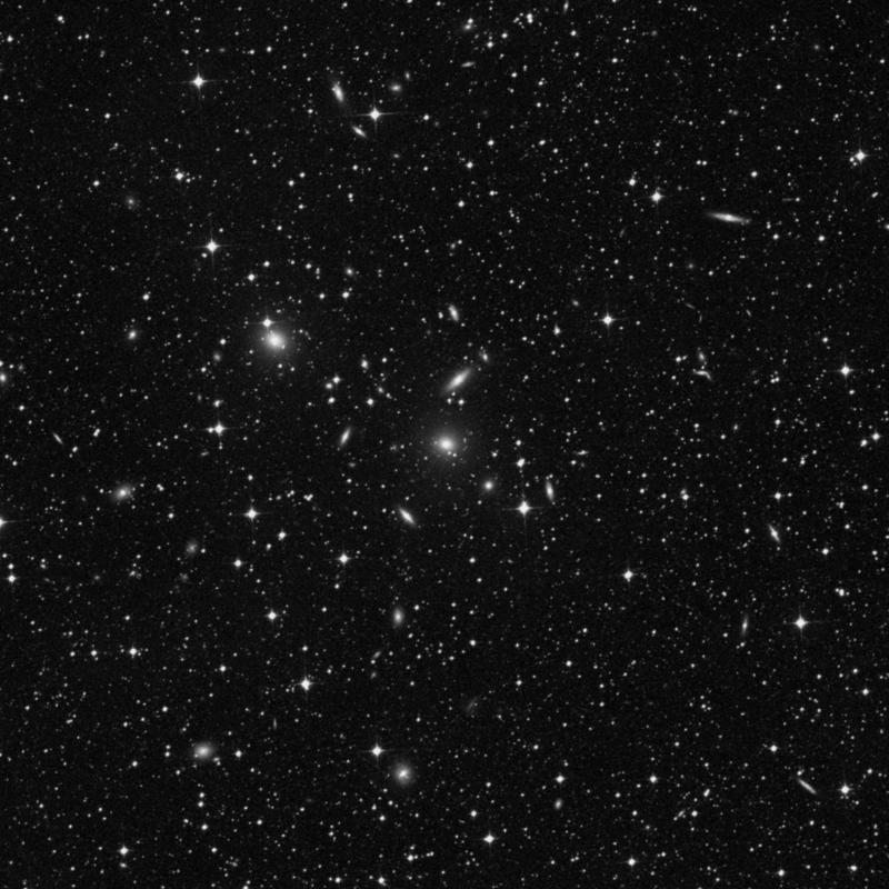 Image of NGC 2230 - Elliptical Galaxy in Dorado star