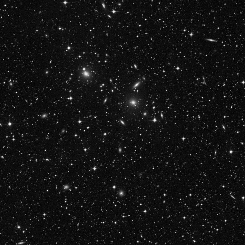 Image of NGC 2233 - Elliptical Galaxy in Dorado star