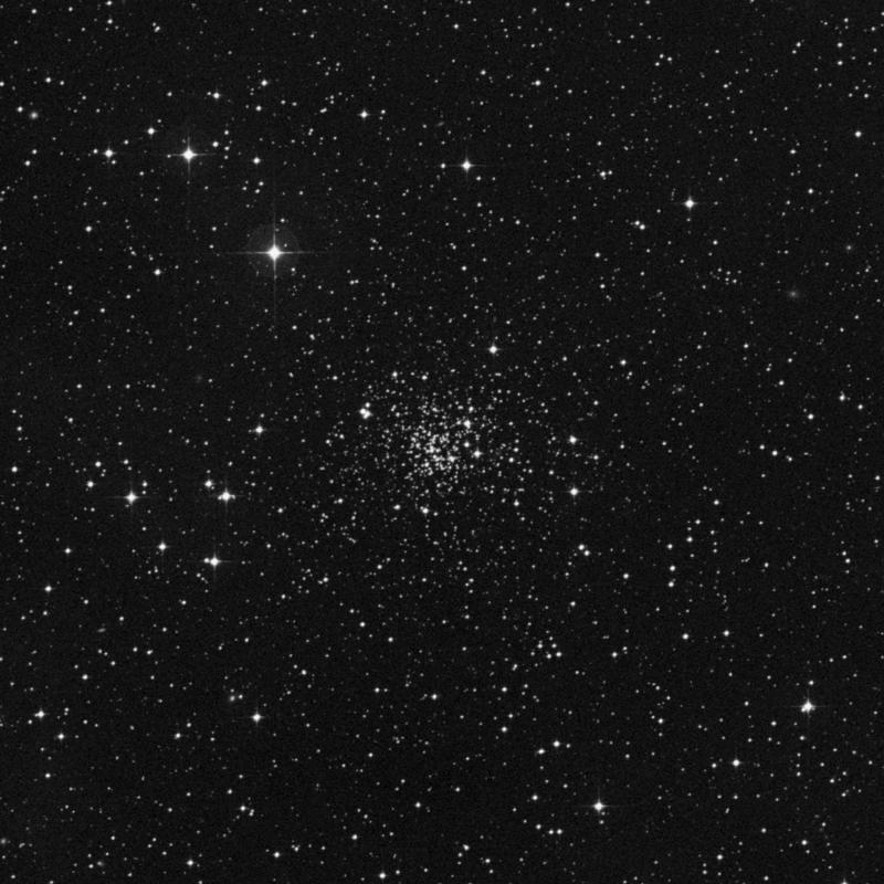 Image of NGC 2243 - Open Cluster in Canis Major star