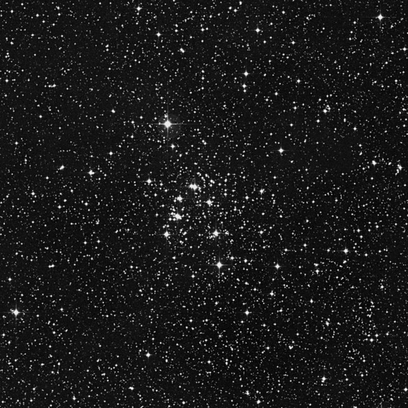 Image of NGC 2345 - Open Cluster in Canis Major star