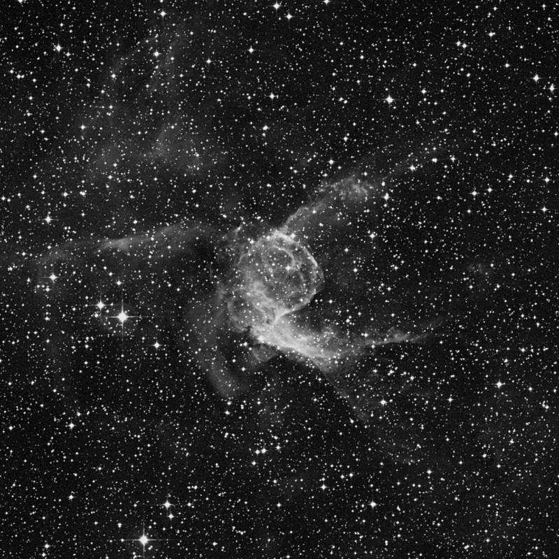 Image of NGC 2359 - HII Ionized region in Canis Major star