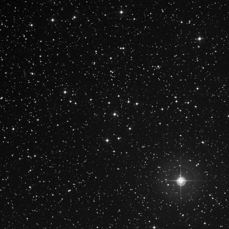 Image of NGC 2394 - Open Cluster in Canis Minor star