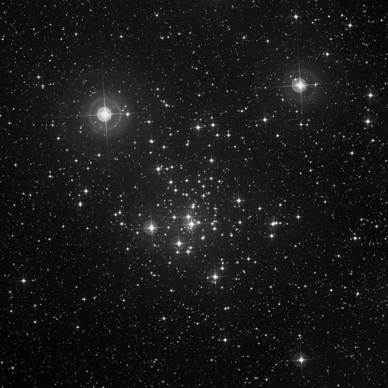 Image of NGC 2516 - Open Cluster in Carina star