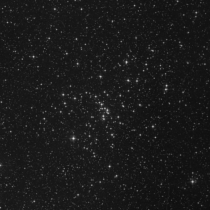Image of Messier 48 - Open Cluster in Hydra star