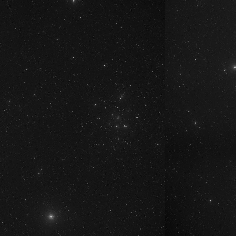 Image of Messier 44 (Praesepe Cluster) - Open Cluster in Cancer star