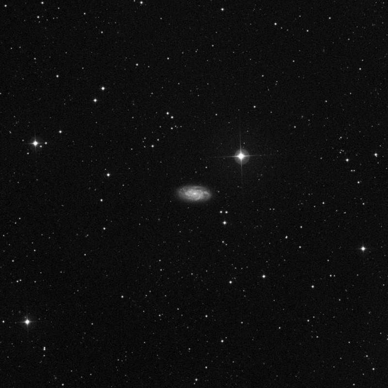 Image of NGC 2742 - Spiral Galaxy in Ursa Major star