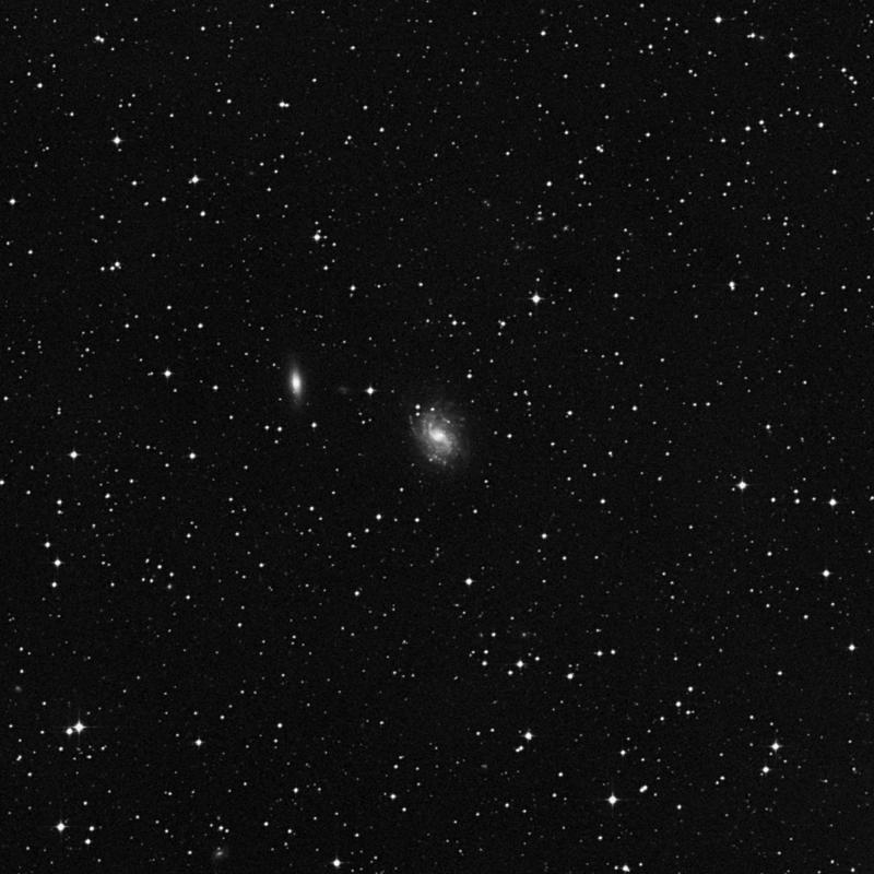 Image of NGC 2848 - Intermediate Spiral Galaxy in Hydra star