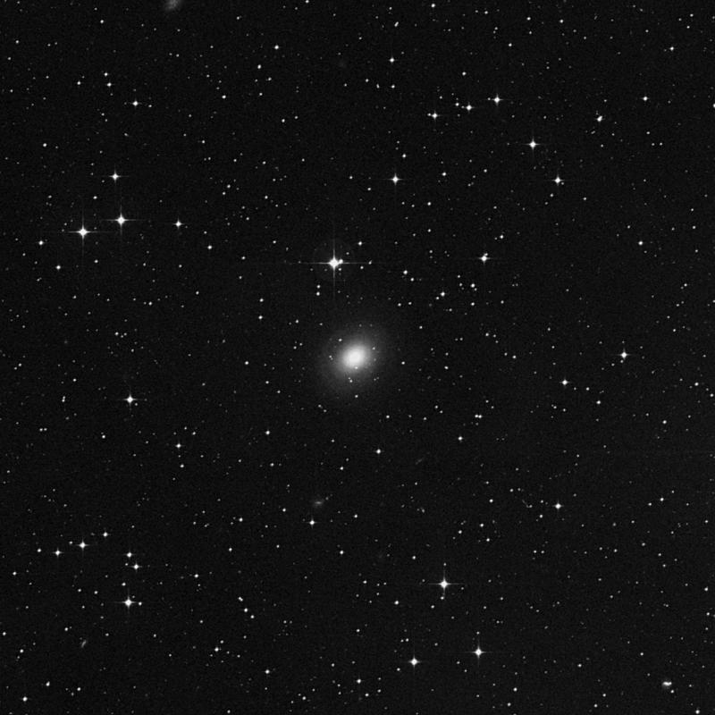 Image of NGC 2855 - Lenticular Galaxy in Hydra star