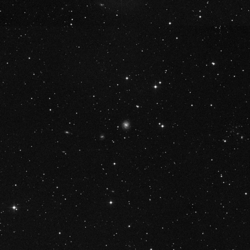 Image of NGC 2861 - Barred Spiral Galaxy in Hydra star
