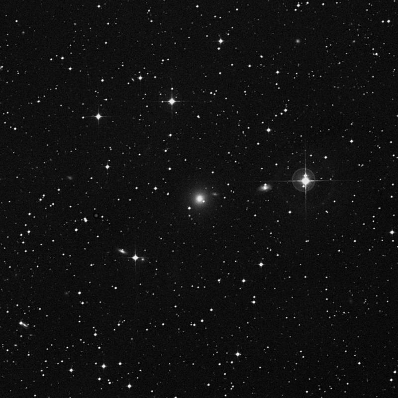 Image of NGC 2924 - Elliptical Galaxy in Hydra star