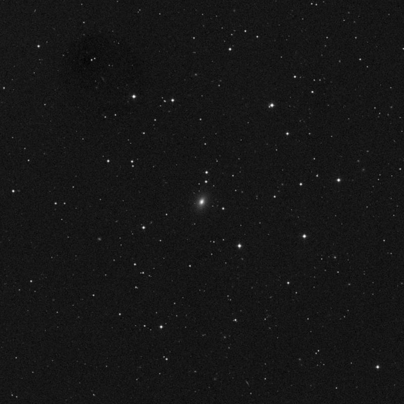 Image of NGC 2954 - Elliptical Galaxy in Leo star