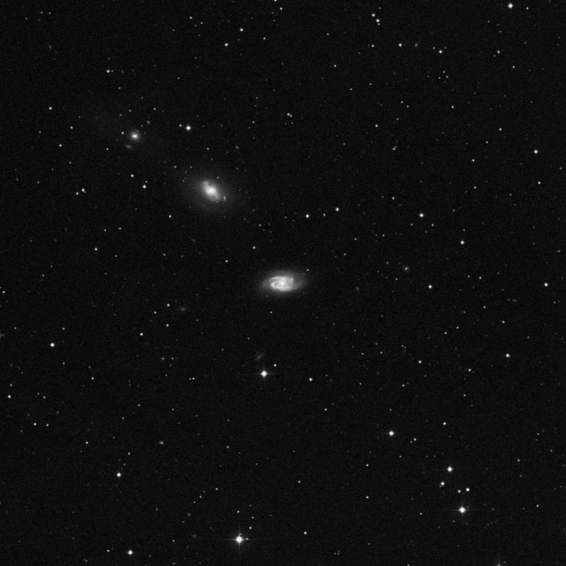 Image of NGC 2964 - Spiral Galaxy in Leo star