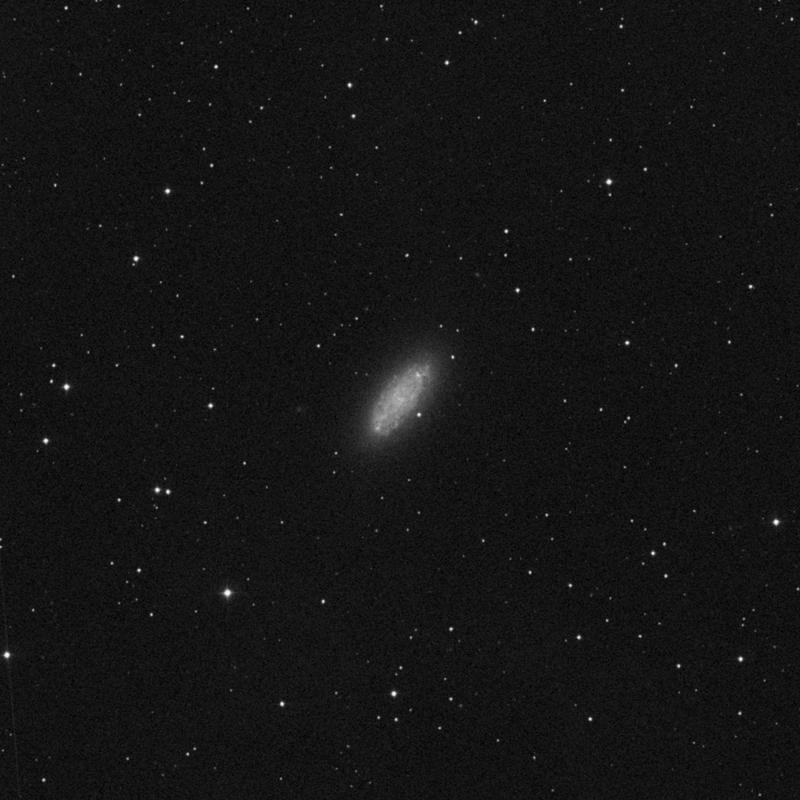 Image of NGC 2976 - Spiral Galaxy in Ursa Major star