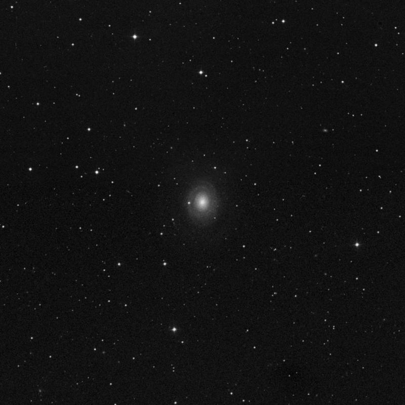 Image of NGC 2985 - Spiral Galaxy in Ursa Major star