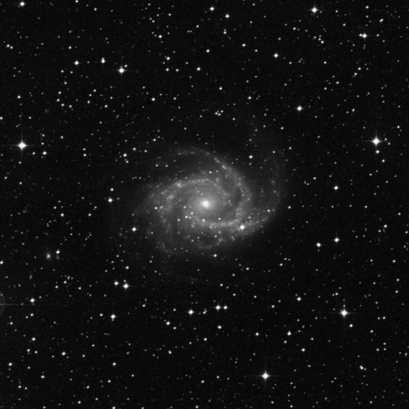 Image of NGC 2997 - Intermediate Spiral Galaxy in Antlia star